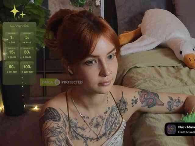 LisLy webcam