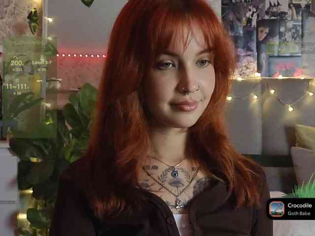LisLy webcam