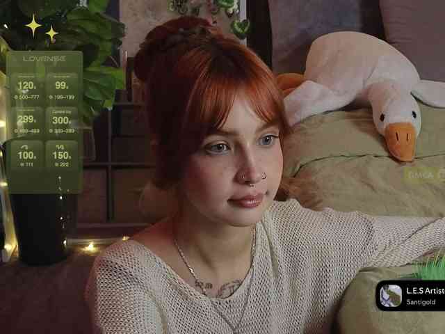 LisLy webcam