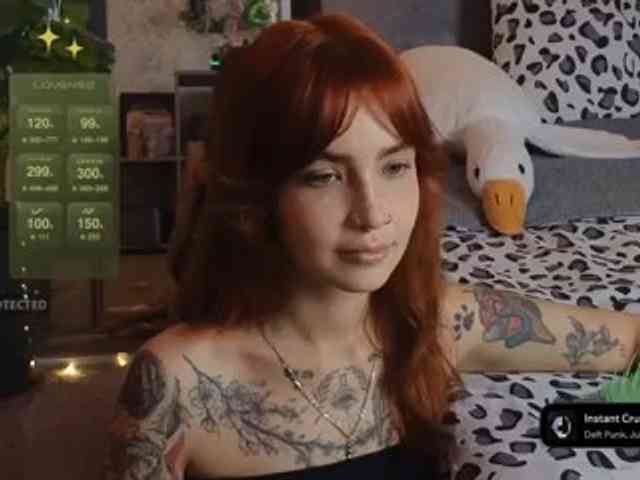 LisLy webcam