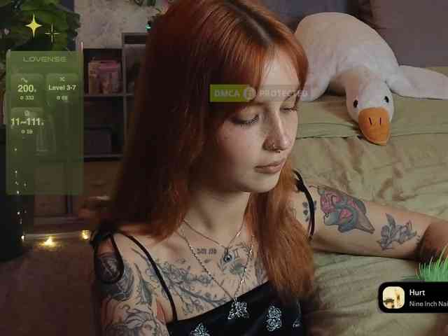 LisLy webcam