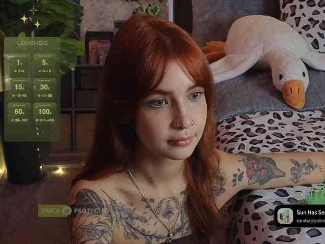 LisLy webcam