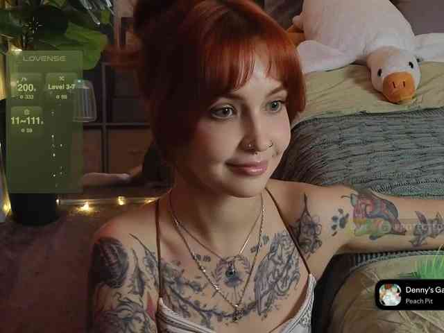 LisLy webcam