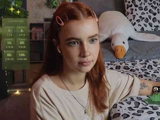 LisLy webcam