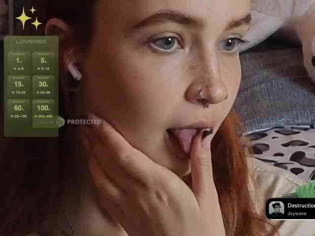 LisLy webcam