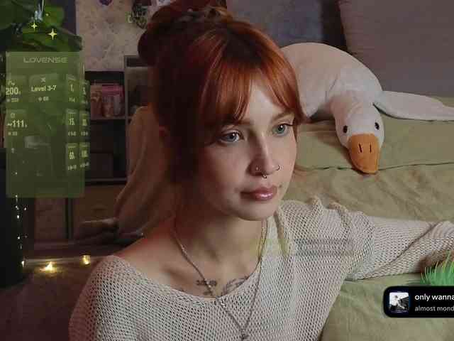 LisLy webcam