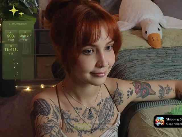 LisLy webcam
