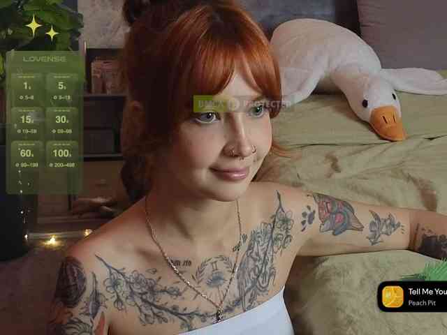 LisLy webcam