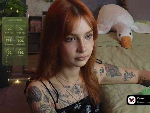 LisLy webcam