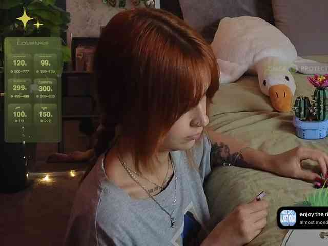 LisLy webcam