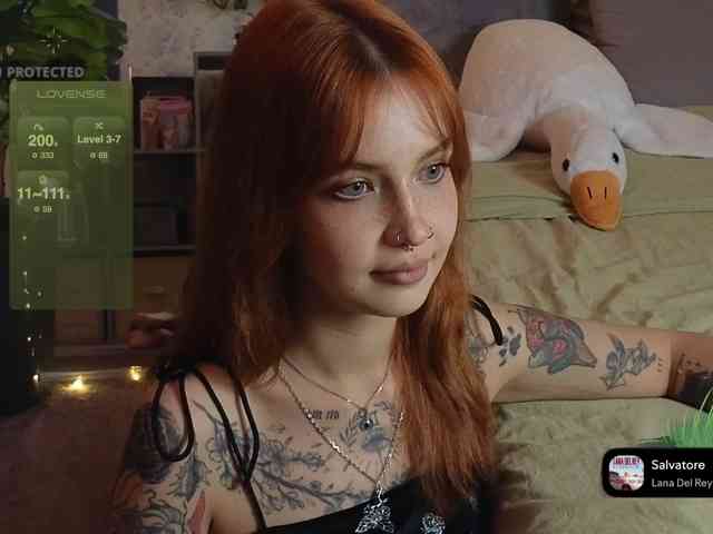 LisLy webcam