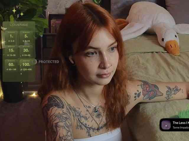 LisLy webcam