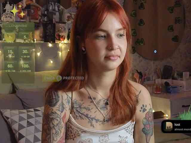 LisLy webcam