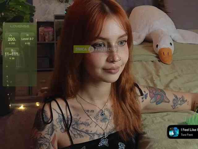 LisLy webcam