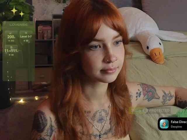 LisLy webcam