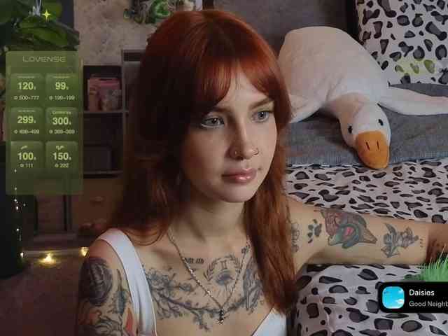 LisLy webcam