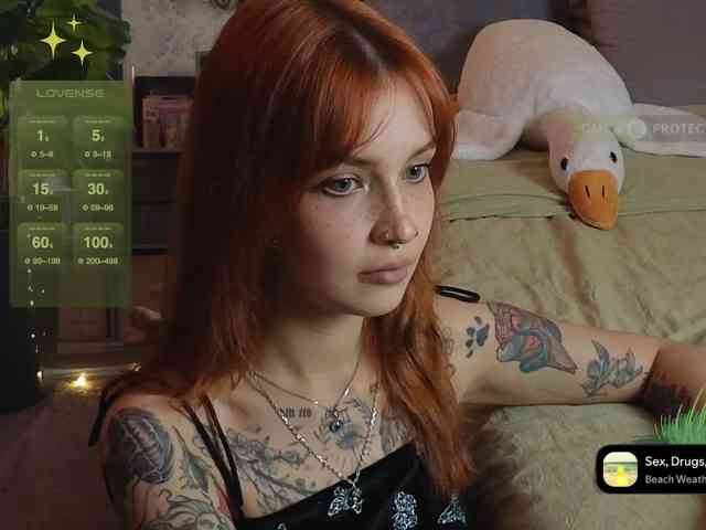 LisLy webcam