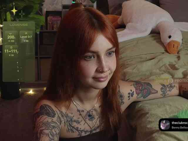 LisLy webcam