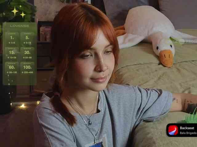 LisLy webcam