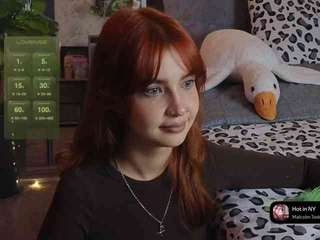 LisLy webcam