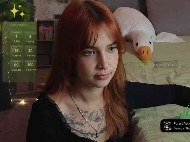 LisLy webcam