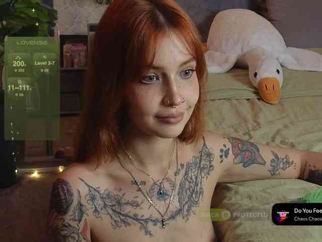 LisLy webcam