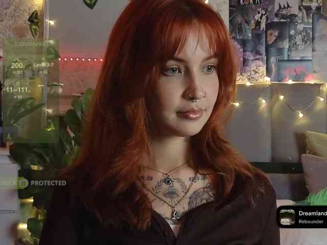 LisLy webcam