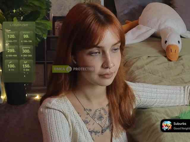 LisLy webcam