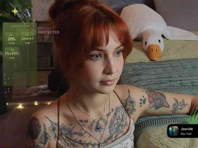 LisLy webcam