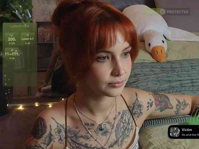 LisLy webcam