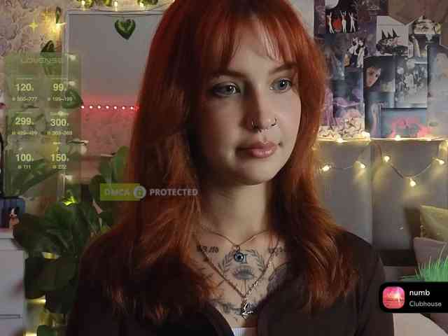 LisLy webcam