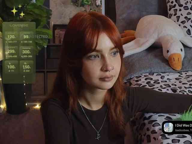 LisLy webcam