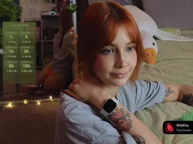 LisLy webcam