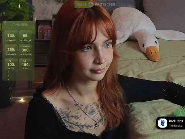 LisLy webcam