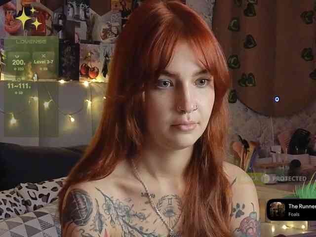 LisLy webcam
