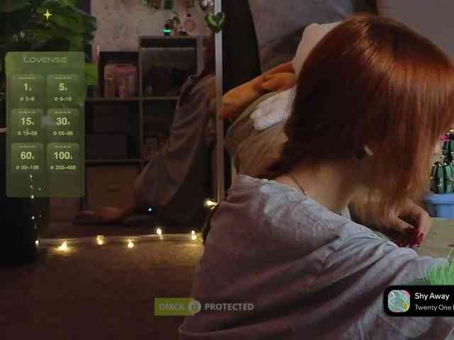 LisLy webcam