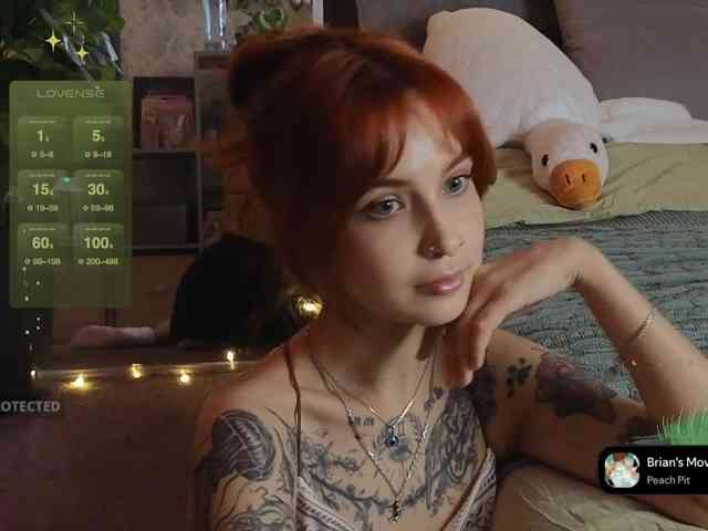 LisLy webcam