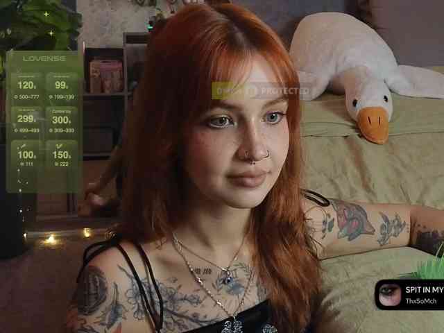 LisLy webcam