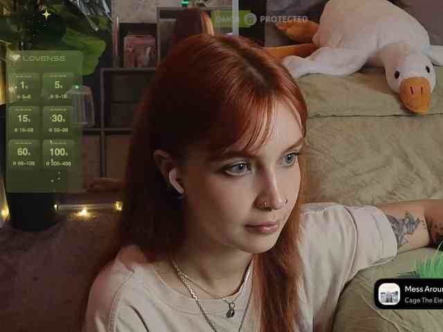 LisLy webcam