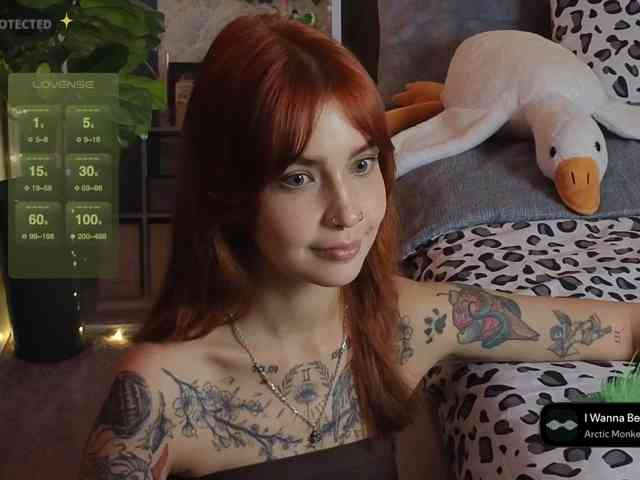 LisLy webcam