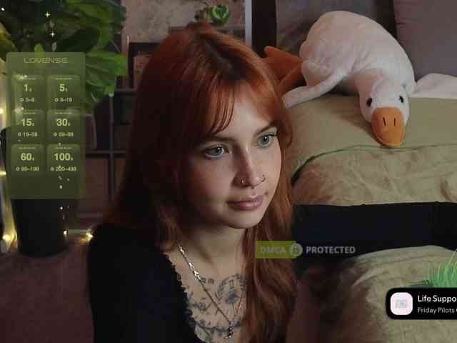 LisLy webcam