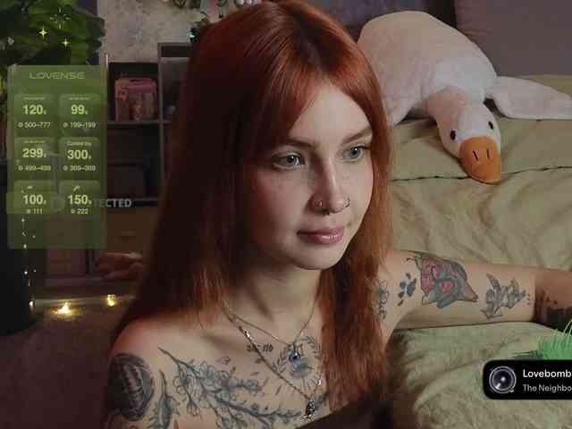 LisLy webcam