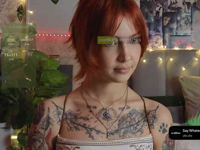 LisLy webcam