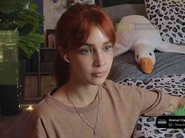LisLy webcam