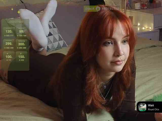 LisLy webcam
