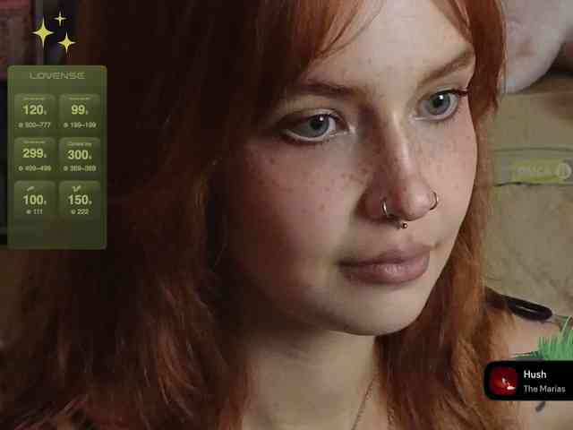 LisLy webcam