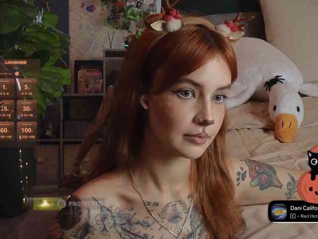 LisLy webcam