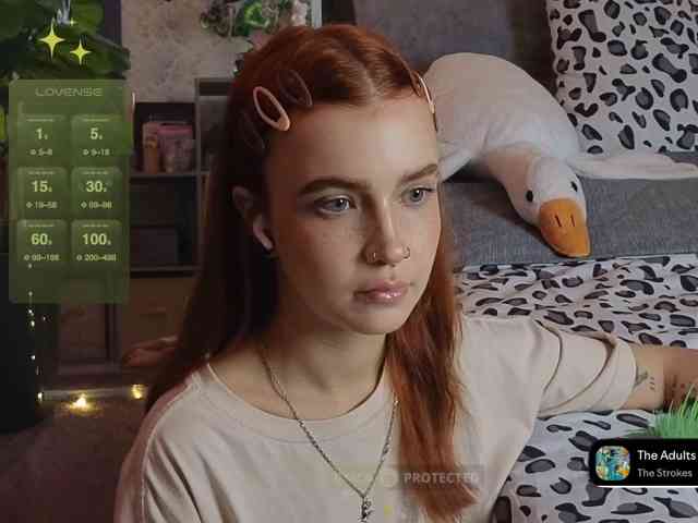 LisLy webcam