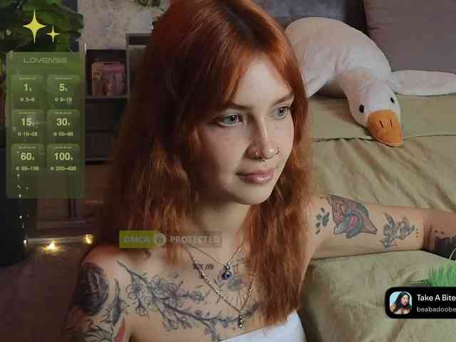 LisLy webcam