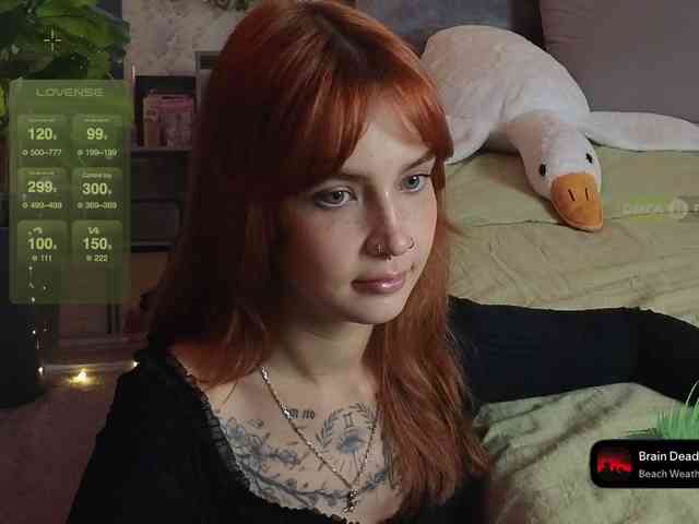 LisLy webcam